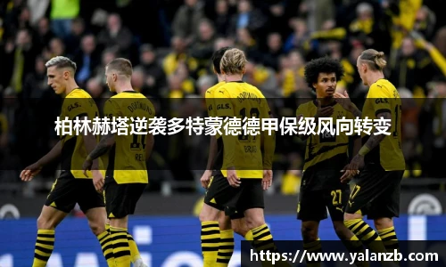 MILE米乐官网