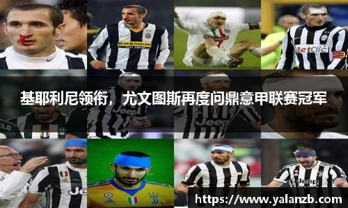 MILE米乐官网