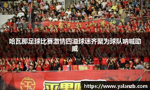 MILE米乐官方网站
