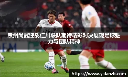 MILE米乐官网