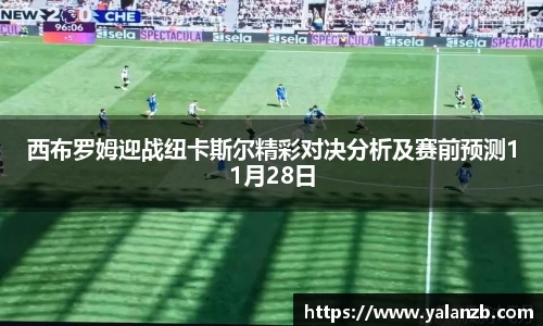 MILE米乐官网