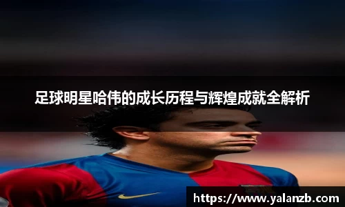 MILE米乐官方网站